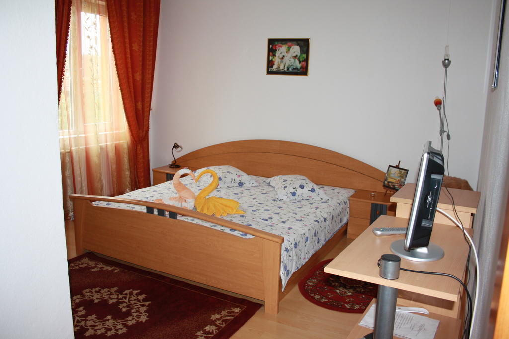 Pensiunea Claudiu Caransebeş Habitación foto